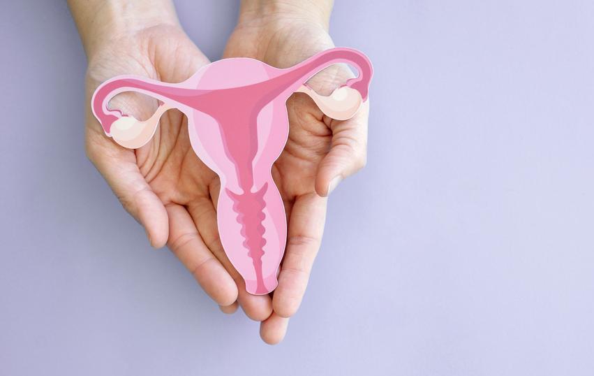 Onderzoek & Wetenschap