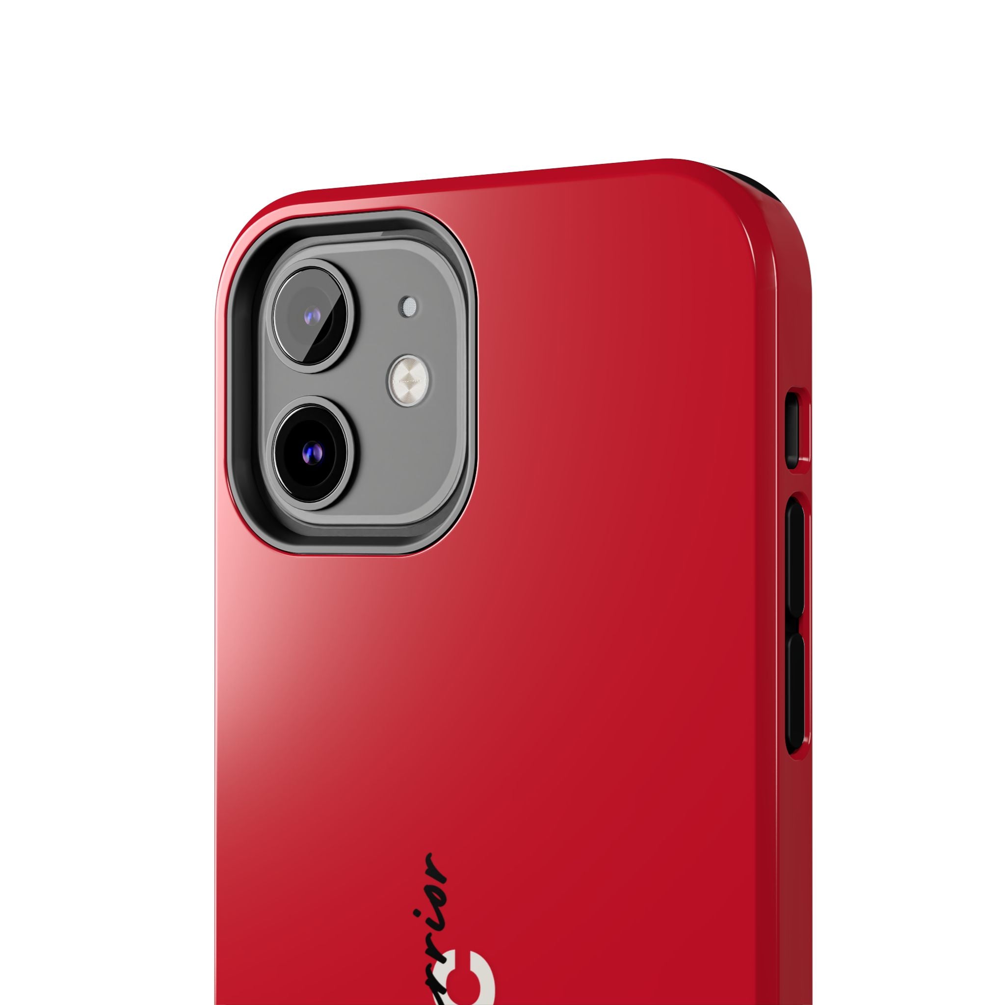 Chronic Warrior case